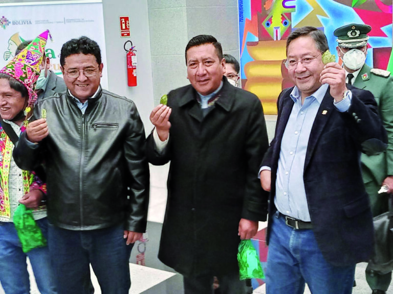 BANCADA DEL MAS NACIONAL ASAMBLEA PLURINACIONAL
