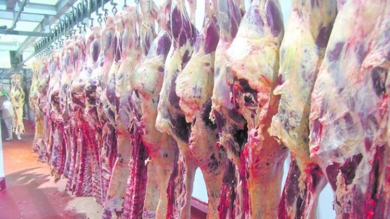 CARNE PARAGUAYA PARA EXPORTAR