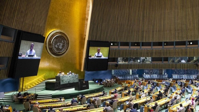 ASAMBLEA DE LA ONU