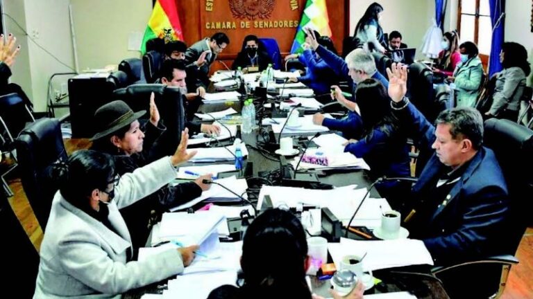 COMISION DEL DEFENSOR SENADO NACIONAL