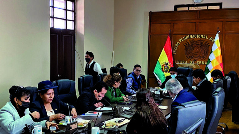 ELECCION DEL DEFENSOR SENADO
