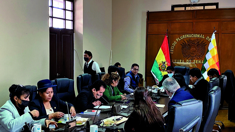 ELECCION DEL DEFENSOR SENADO