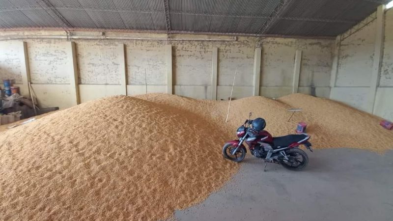 MAIZ GUARDADO EN STA CRUZ