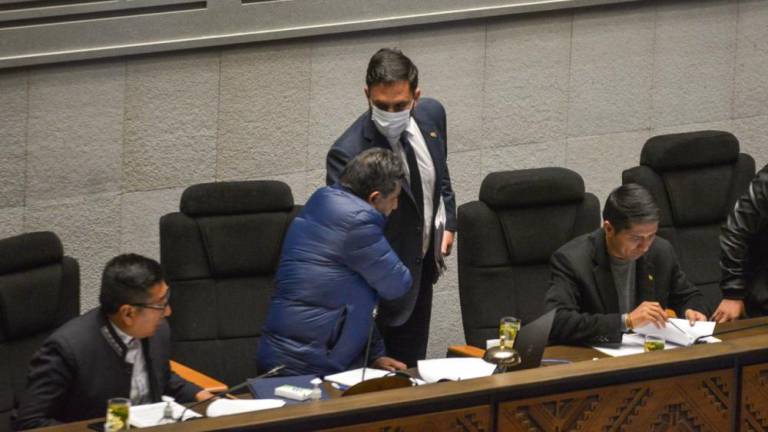 choquehuanca-saluda-a-del-castillo