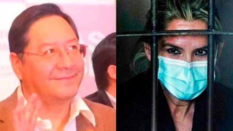 arce vs añez