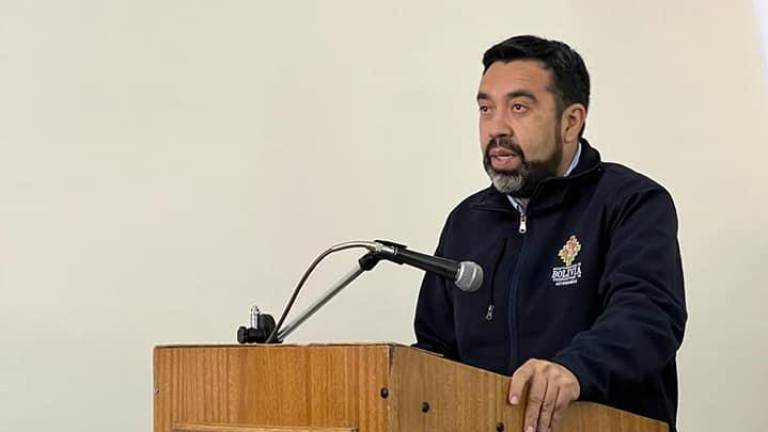 ALAVRO RUIZ VICEMINSITRO DE AUTONOMIAS