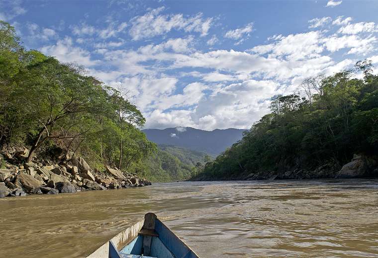 importada-feed_900894333_760x520