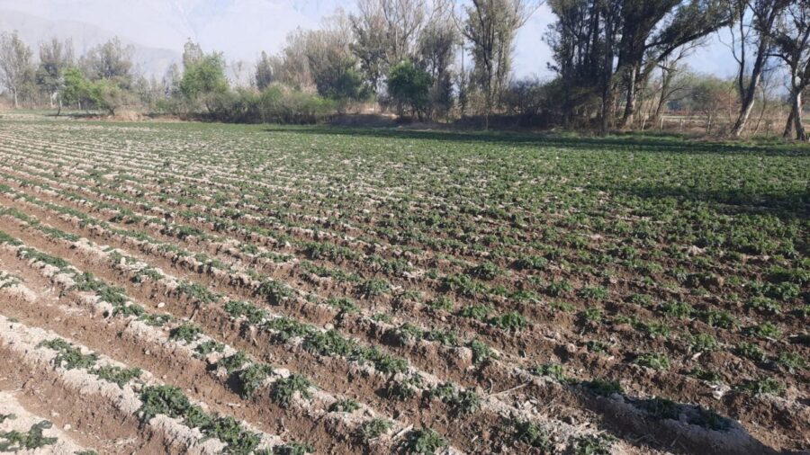 f931087f-4f55-443d-a5a9-71dcfcb2f6b8