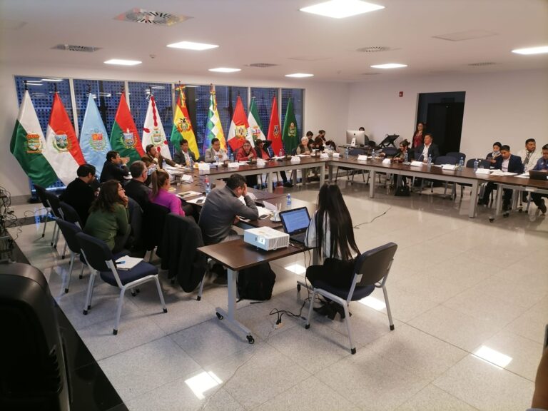 comision_mixta_de_constitucion_0