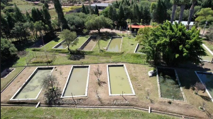 170523_Gobernacin_mejor_la_Estacin_Pisccola_para_la_cra_de_alevines_y_repoblar_173_reservorios_de_agua