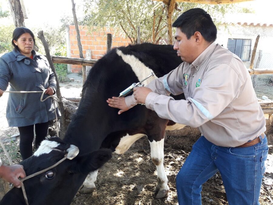 180523_El_Sedag_despliega_campaa_de_vitaminizacin_y_desparasitacin_de_ganado_lechero_en_la_provincia_Mndez