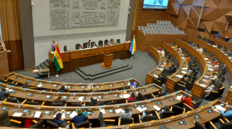 ASAMBLEA PLURINACIONAL