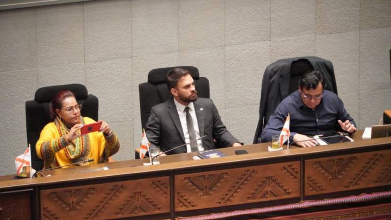 El ministro Eduardo Del Castillo en su interpelación. Ministerio de Gobierno