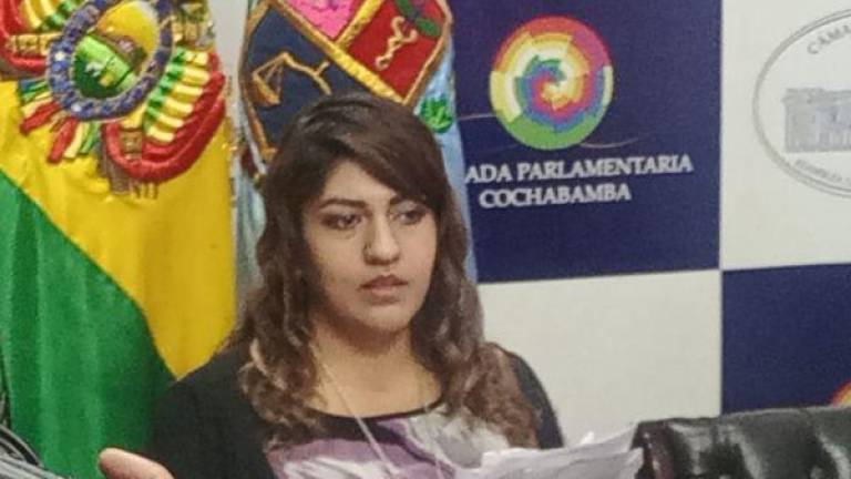 diputada Pamela Terrazas