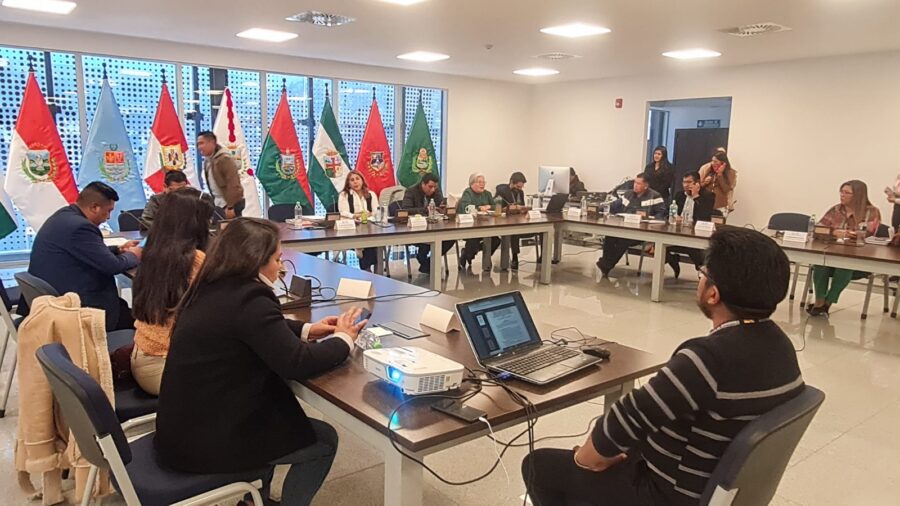 Comisión Mixta de Constitución en una sesión para reencausar el proceso de preselección.