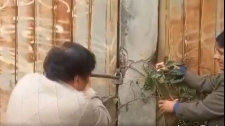 f4ff2bdd-c2a5-41cd-8030-3674961454be