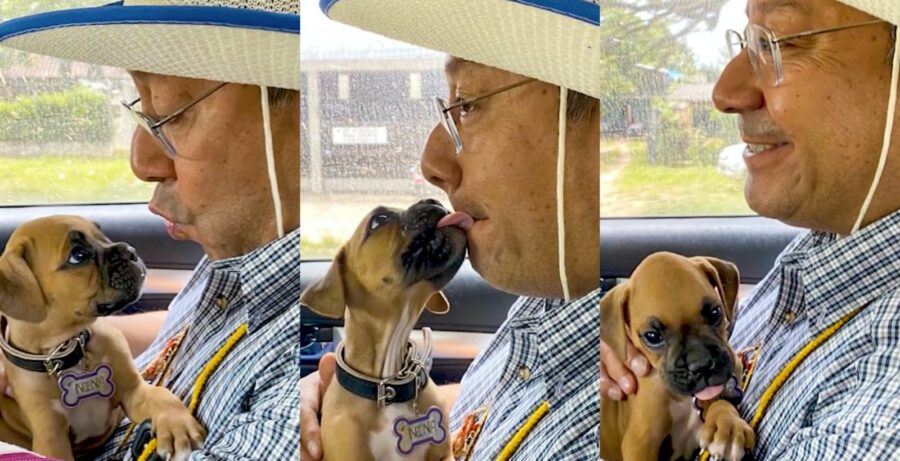 CACHORRITA-LUCHOXBOLIVIA