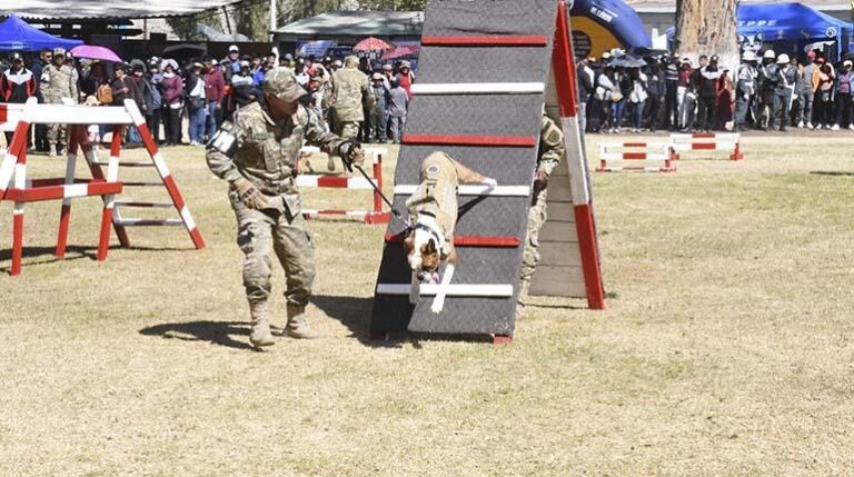 ejercito