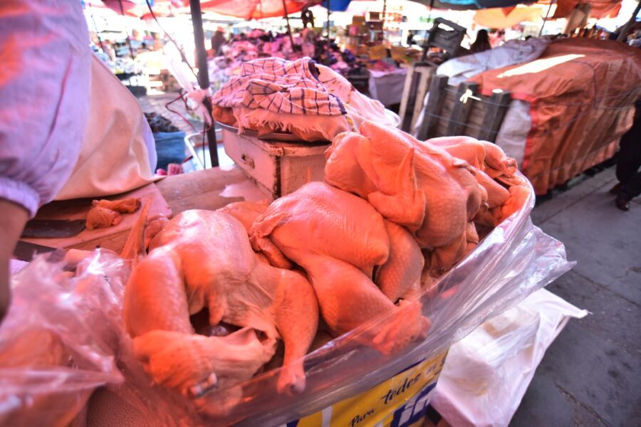 precio del pollo