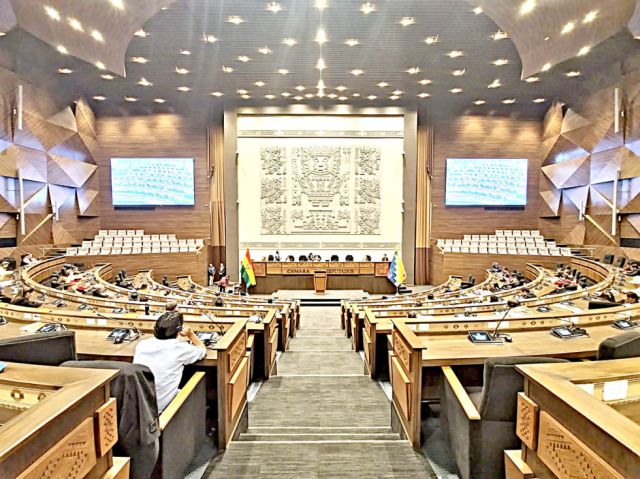 ASAMBLEA PLURINACIONAL VOTACION