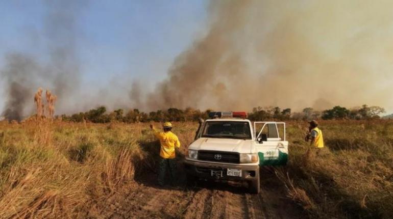 INCENDIOS EN SANTA CRUZ
