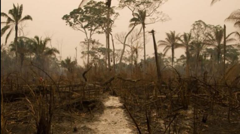 INCENDIOS EN SANTA CRUZ
