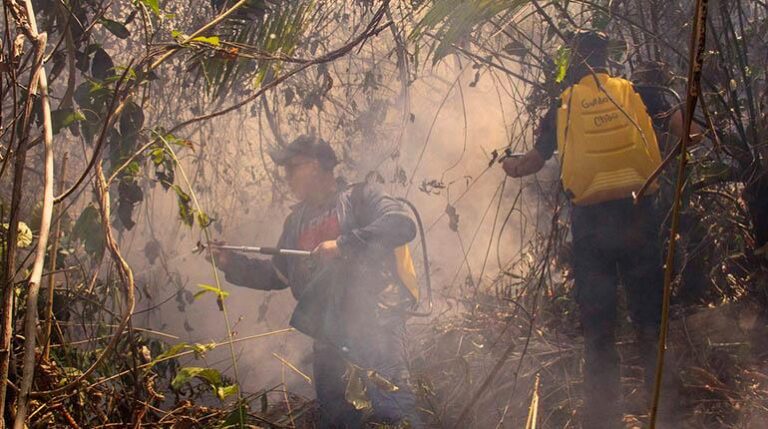 incendios en buena ventura