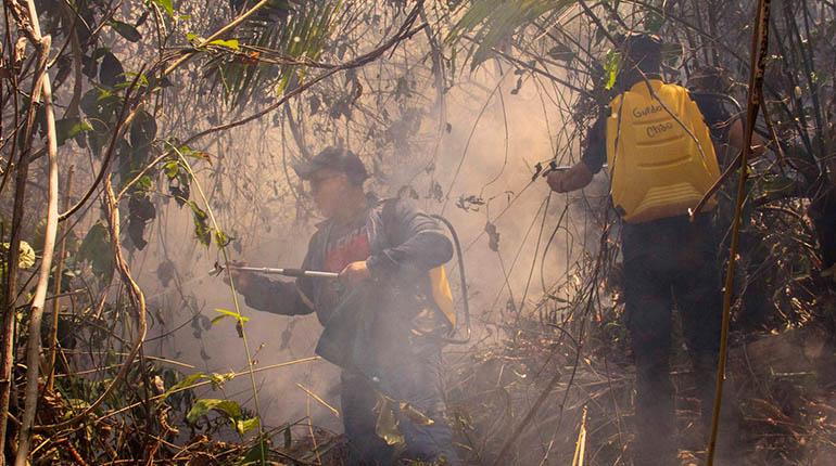 incendios en buena ventura