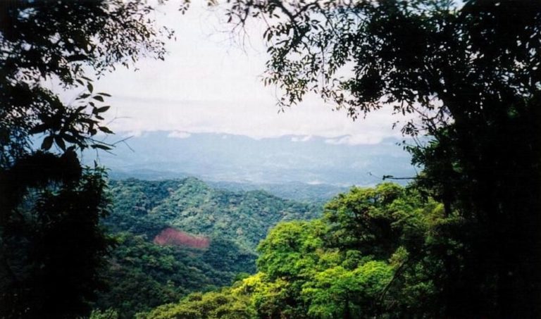 tariquia-bolivia-areas-protegidas-2-768x453