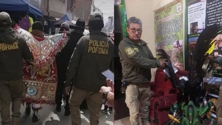 Persona arrestada por portar alas de cóndor disecadas