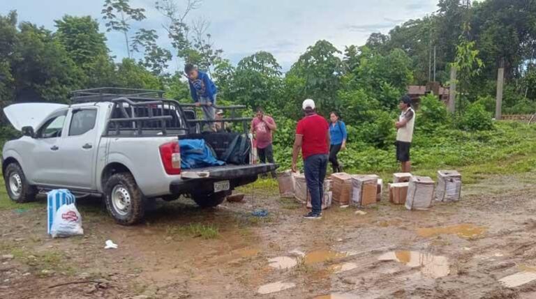 VEHICULO AFECTADO