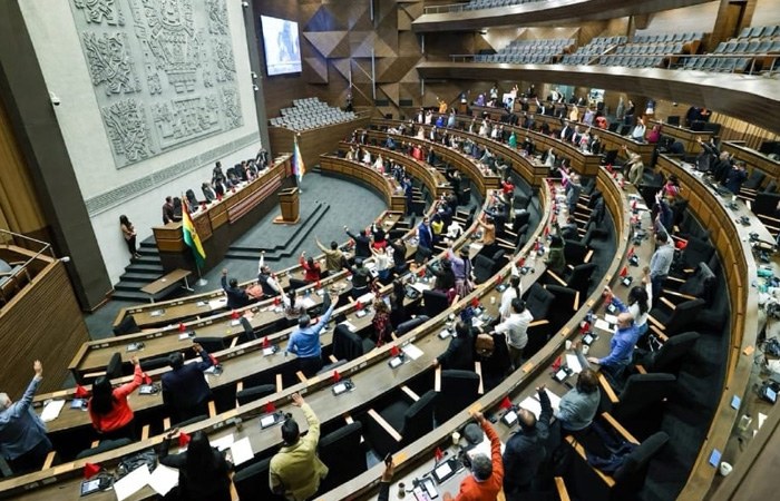 plenario_de_la_asamblea
