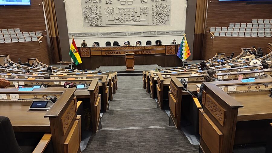 sesion_diputados_5