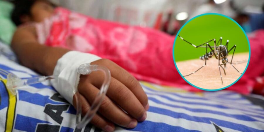 dengue-en-Santa-Cruz