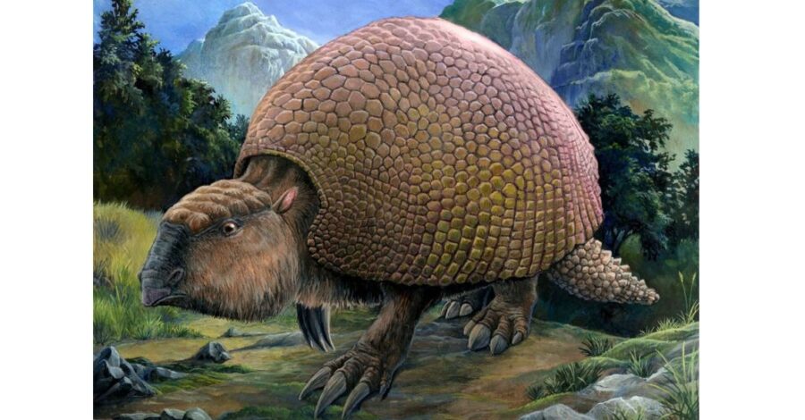el-gliptodonte-vivio-en-la_0_2_960_598