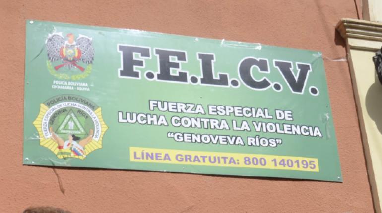 felcv_1_1_0
