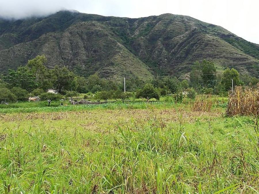 terreno-de-5000-m2-antes-de-llegar-a-san-andres-a-12-km-de-la-ciudad-TEV45991616557958-801