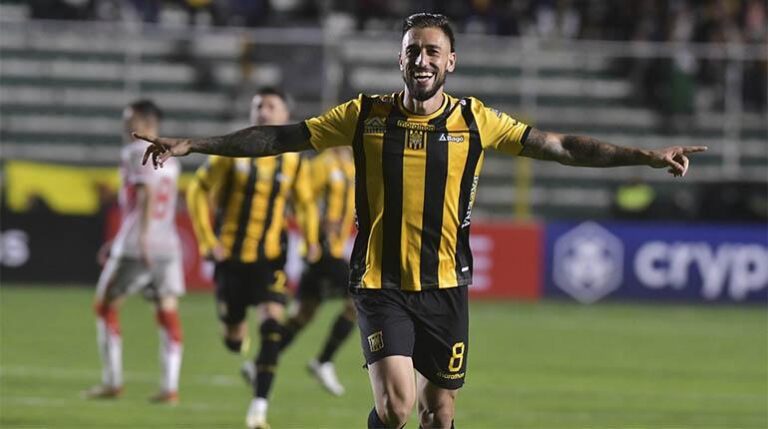 tigre