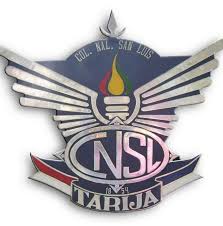 COLEGIO SAN LUIS LOGO