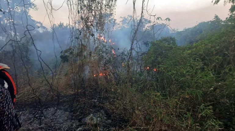 humo_con_fuego