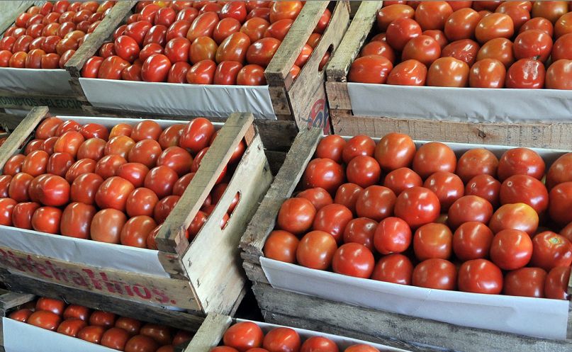 tomate-precio