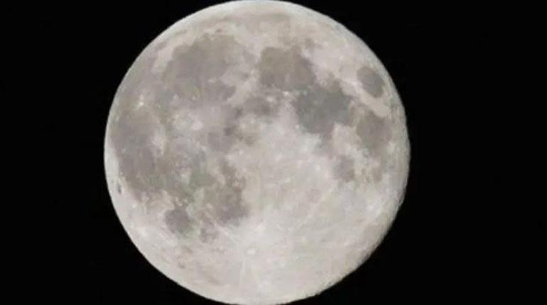 whatsapp_image_2024-06-18_at_15.58.17_1