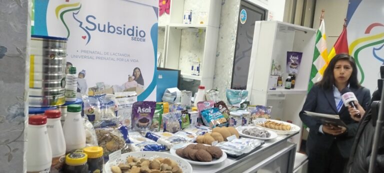 SUBSIDIO-SEDEM