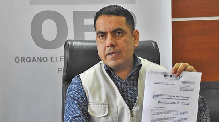Francisco Vargas, vicepresidente del Tribunal Supremo Electoral