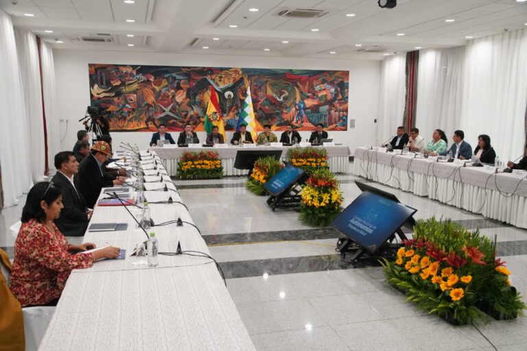 Sesión del Consejo Nacional de Autonomías.