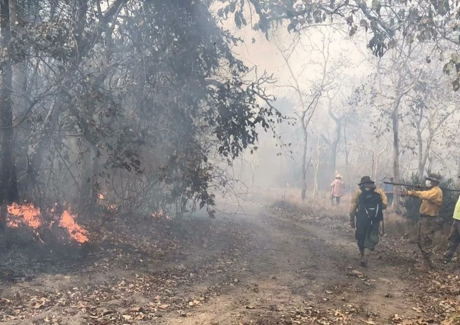 WhatsApp-Image-2023-11-04-at-22.04.10