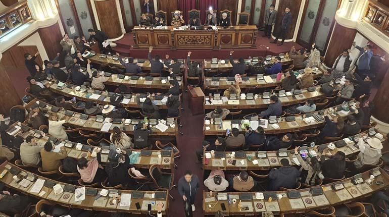 diputados