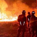 incendio_scz_0