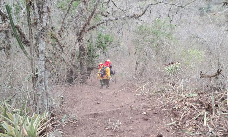 incendios-30