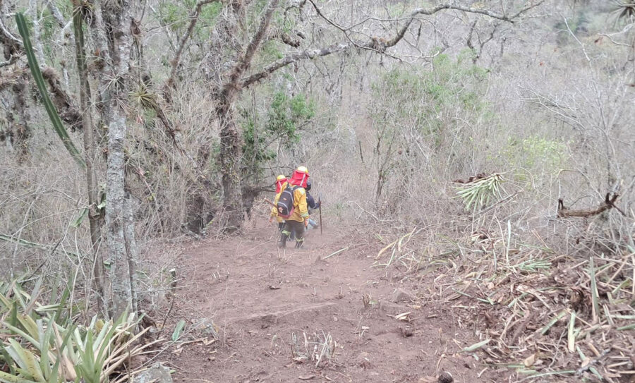 incendios-30